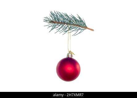 Boule de Noël rouge brillant accrochée à une branche d'arbre de Noël Banque D'Images