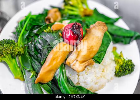 Repas traditionnel japonais de plat de légumes avec riz blanc cuit, épinards, umeboshi avec feuille de shiso et le roi trompette champignons macro gros plan textur Banque D'Images