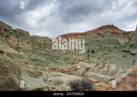 Montagne bleue dans le lit de fossiles de John Day Banque D'Images