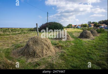 Les petits haystacks traditionnels sèchent naturellement le foin au soleil et l'air libre sur le bord de la route à Salthouse, Norfolk, East Anglia, Angleterre Banque D'Images