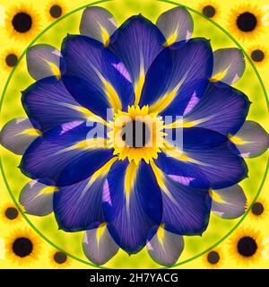 Mandala multicolore illustration abstraite arrière-plan haute résolution Banque D'Images