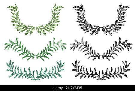 Ensemble de différentes couronnes provenant de branches d'une fougère.Branches vectorielles colorées et monochromes avec feuillage.Séparateurs et séparateurs de texte naturels. Illustration de Vecteur