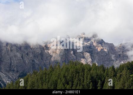 Forêt de conifères sur le fond des Dolomites italiens après la pluie Banque D'Images