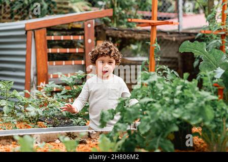 Garçon aux cheveux bouclés debout près du lit de jardin avec des pousses plantées dans la cour et regardant la caméra Banque D'Images