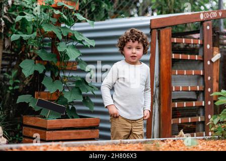 Garçon aux cheveux bouclés debout près du lit de jardin avec des pousses plantées dans la cour et regardant la caméra Banque D'Images