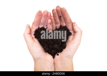 Mains humaines tenant un tas de sol en forme de coeur isolé sur blanc Banque D'Images