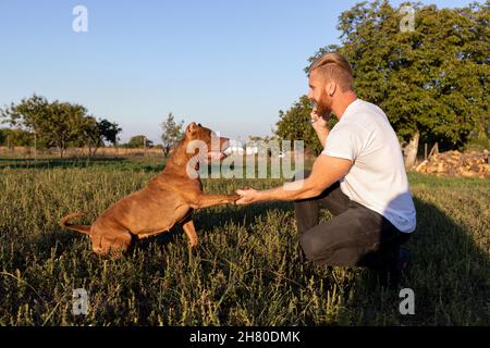 Mignon jeune couple avec un chien Banque D'Images
