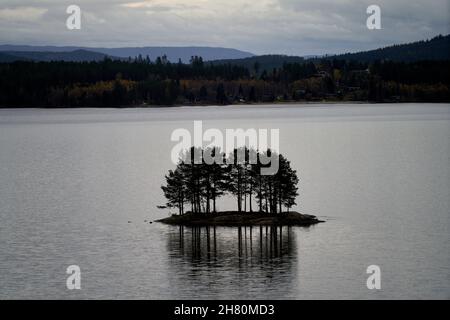 Petite île avec pins sur le lac Kroderen en en Norvège Banque D'Images