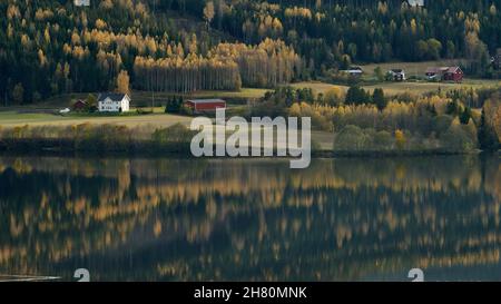 Paysage d'automne avec fermes sur la côte du lac Kroderen, en Norvège Banque D'Images