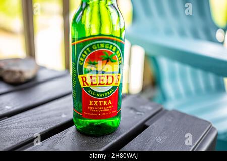 Sugar Mountain, États-Unis - 31 mai 2021: Gros plan de bouteille de verre avec étiquette pour Reed's Craft Ginger Beer marque de tous les vrais gingembre naturel ALE non-alco Banque D'Images