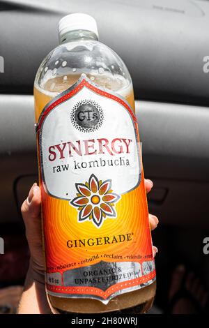 Miami, États-Unis - 29 juillet 2021 : gros plan de la main tenant une boisson de thé probiotique fermentée de culture étiquette pour le Kombucha brut Synergy de GT avec saveur de gingembre Banque D'Images