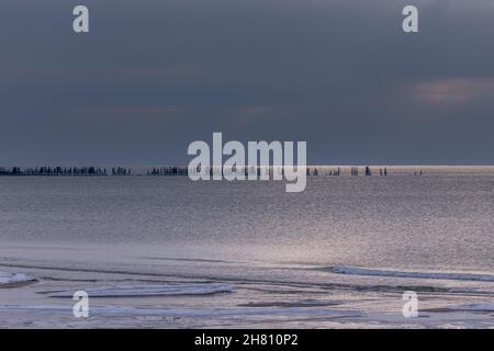 Vue sur les restes congelés des vieilles jetées lors d'une journée d'hiver à Sventoji, Lituanie Banque D'Images