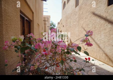 Vieux Dubaï.Rues arabes traditionnelles dans le quartier historique d'Al Fahidi, Al Bastakiya.Dubaï, Émirats arabes Unis.Après-midi ensoleillé et lumineux sur une rue en pierre dans une ville orientale traditionnelle. Banque D'Images