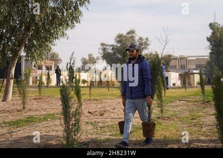 Mossoul, Irak.25 novembre 2021.Un homme vu portant deux arbres pour la plantation sur le campus de l'Université technique du Nord.des volontaires iraquiens de la Fondation Mosul Eye ont commencé à planter des milliers d'arbres dans la ville ravagée par la guerre de Mosul, dans le but de rendre Mosul vert et de lutter contre la désertification, ils ont planté les 300 premiers arbres d'acacia,le cyprès et le citron dans le sol dans un projet vise à planter 5,000 arbres dans toute la ville de Mossoul, dans le nord du pays, qui souffre encore de la destruction et de la dévastation causées par la guerre contre l'EI.Crédit : SOPA Images Limited/Alamy Live News Banque D'Images