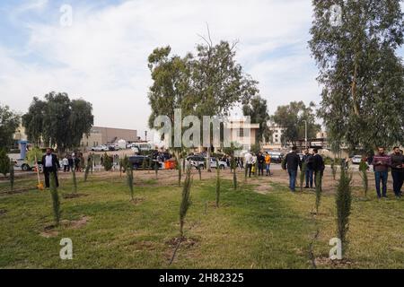 Mossoul, Irak.25 novembre 2021.Vue générale du jardin dans lequel des arbres ont été plantés sur le campus de l'Université technique du Nord.des volontaires iraquiens de la Fondation Mosul Eye ont commencé à planter des milliers d'arbres dans la ville ravagée par la guerre de Mosul, dans le but d'écologiser Mosul et de lutter contre la désertification, ils ont planté les 300 premiers arbres d'acacia,le cyprès et le citron dans le sol dans un projet vise à planter 5,000 arbres dans toute la ville de Mossoul, dans le nord du pays, qui souffre encore de la destruction et de la dévastation causées par la guerre contre l'EI.Crédit : SOPA Images Limited/Alamy Live News Banque D'Images