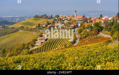 Belles collines et vignobles en automne autour du village de Treiso.Dans la région de Langhe, Cuneo, Piémont, Italie. Banque D'Images