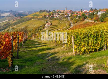 Belles collines et vignobles en automne autour du village de Treiso.Dans la région de Langhe, Cuneo, Piémont, Italie. Banque D'Images