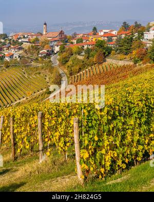 Belles collines et vignobles en automne autour du village de Treiso.Dans la région de Langhe, Cuneo, Piémont, Italie. Banque D'Images