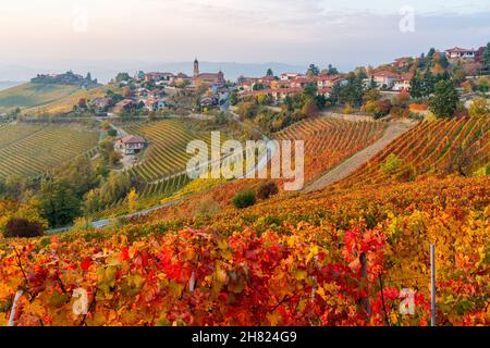 Belles collines et vignobles en automne autour du village de Treiso.Dans la région de Langhe, Cuneo, Piémont, Italie. Banque D'Images