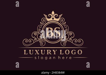 BS lettre initiale Or calligraphique féminin floral dessiné à la main heraldic monogramme ancien style vintage luxe logo design Premium Illustration de Vecteur