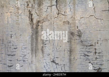 Texture de béton avec motif de fissures, arrière-plan Banque D'Images