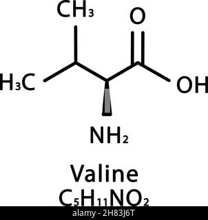 Structure moléculaire de la valine.Formule chimique du squelette de la valine.Illustration du vecteur de formule moléculaire chimique Illustration de Vecteur