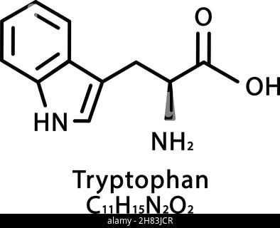 Structure moléculaire du tryptophane.Formule chimique du squelette du tryptophane.Illustration du vecteur de formule moléculaire chimique Illustration de Vecteur