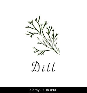 Illustration à vecteur plat.Logo de bande dessinée plante herbacée.Un petit bouquet d'icônes de l'aneth Illustration de Vecteur