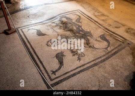 Triton dans l'apodytérium, bains terme Urbane Femminili ou Womens, Ercolano, ruines romaines d'Herculanum, Naples, Italie Banque D'Images