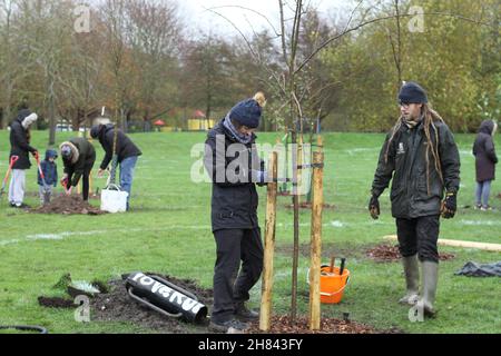 Colchester, Royaume-Uni. 27th novembre 2021. Les habitants de Colchester participent à un événement de plantation d'arbres dans le cadre du projet de la forêt et de la biodiversité de Colchester, marquant le début de la semaine nationale des arbres 2021. Crédit : Eastern Views/Alamy Live News Banque D'Images