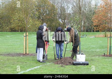 Colchester, Royaume-Uni. 27th novembre 2021. Les habitants de Colchester participent à un événement de plantation d'arbres dans le cadre du projet de la forêt et de la biodiversité de Colchester, marquant le début de la semaine nationale des arbres 2021. Crédit : Eastern Views/Alamy Live News Banque D'Images