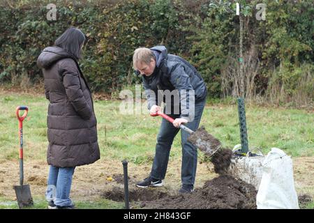 Colchester, Royaume-Uni. 27th novembre 2021. Les habitants de Colchester participent à un événement de plantation d'arbres dans le cadre du projet de la forêt et de la biodiversité de Colchester, marquant le début de la semaine nationale des arbres 2021. Crédit : Eastern Views/Alamy Live News Banque D'Images