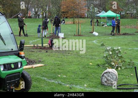 Colchester, Royaume-Uni. 27th novembre 2021. Les habitants de Colchester participent à un événement de plantation d'arbres dans le cadre du projet de la forêt et de la biodiversité de Colchester, marquant le début de la semaine nationale des arbres 2021. Crédit : Eastern Views/Alamy Live News Banque D'Images