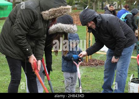 Colchester, Royaume-Uni. 27th novembre 2021. Les habitants de Colchester participent à un événement de plantation d'arbres dans le cadre du projet de la forêt et de la biodiversité de Colchester, marquant le début de la semaine nationale des arbres 2021. Crédit : Eastern Views/Alamy Live News Banque D'Images