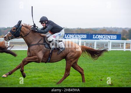 Ascot, Berkshire, Royaume-Uni.19 novembre 2021.Cabot Cliffs, monté par le jockey Harry Skelton dans la course de haies de handicap de Garden for All Seasons.Crédit : Maureen McLean/Alay Banque D'Images