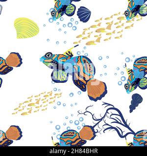 Motifs de poissons mandarins sans coutures. Magnifique caractère parmi les coquillages, les algues, les étoiles de mer, le caractère de la faune d'animaux marins.Nature sous-marine, poissons marins sauvages de zoo d'océan Illustration de Vecteur