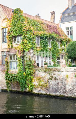 Idyllique maison de canal à Bruges surcultivée avec des plantes grimpantes en automne Banque D'Images