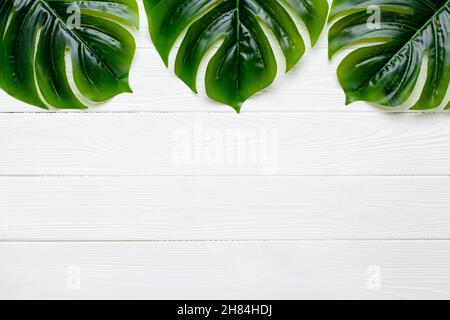 Feuilles vertes de monstère sur une table blanche en bois, fond de feuille.Bordure du cadre.Modèle floral exotique avec espace de copie.Motif avec place pour le texte. Banque D'Images