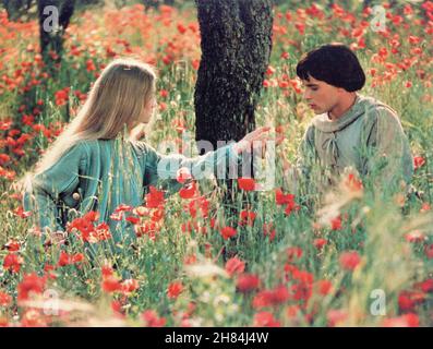 Graham Faulkner, Judi Bowker, sur le tournage du film, « frère Soleil, sœur Lune », Paramount Pictures, 1972 Banque D'Images