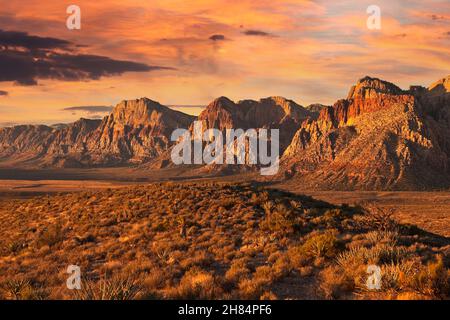 Lumière d'aube spectaculaire sur les falaises de la zone naturelle nationale de Red Rock Canyon, près de Las Vegas, Nevada. Banque D'Images