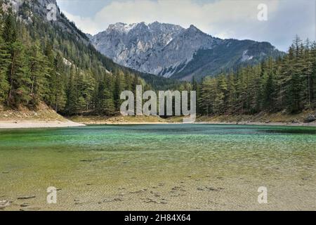 Paysage du lac Grüner See en Autriche à Sprig.L'eau propre et claire provient de la fonte des neiges des montagnes karstiques. Banque D'Images