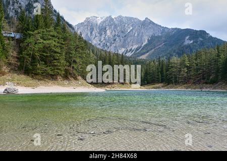 Paysage du lac Grüner See en Autriche à Sprig.L'eau propre et claire provient de la fonte des neiges des montagnes karstiques. Banque D'Images