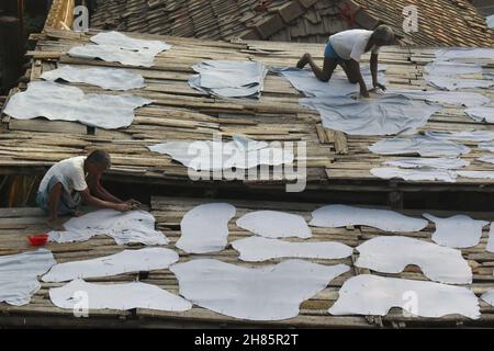 Kolkata, Inde.27 novembre 2021.Les travailleurs sèchent les peaux de vache dans une tannerie de Kolkata.(Photo de Sudipta Das/Pacific Press) crédit: Pacific Press Media production Corp./Alay Live News Banque D'Images