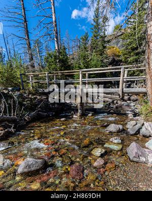 Passage à pied du pont Baring Creek sous les chutes Baring, parc national Glacier, Montana, États-Unis, Banque D'Images