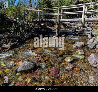 Baring Crek coule au-dessus de Baring Falls, parc national des Glaciers, Montana, États-Unis Banque D'Images