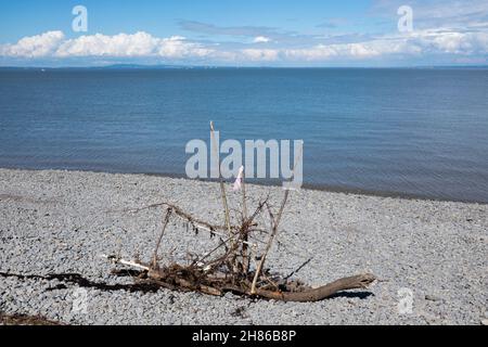 Driftwood Yacht Sculpture sur la plage de Lavernock point Penarh South Wales Banque D'Images