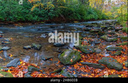 Fall Color et Dunloup Creek près de Thurmond, parc national de New River gorge, Virginie-Occidentale, États-Unis Banque D'Images