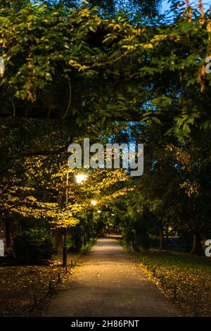 Scène nocturne. Ruelle sombre dans le parc Cismigiu Gardens la nuit dans le centre de Bucarest, Roumanie, 2021 Banque D'Images