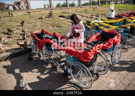 Lopuri, Thaïlande.28 novembre 2021.Une fille menace les singes avec un coup de feu lors du festival annuel des singes de Lophuri en Thaïlande, le dimanche 28 novembre 2021.(Image de crédit : © Andre Malerba/ZUMA Press Wire) Banque D'Images