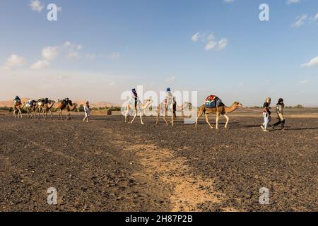 Province d'Errachidia, Maroc - 17 octobre 2015 : caravane de chameaux avec des touristes traversant le désert du Sahara.ERG Chebbi en arrière-plan. Banque D'Images